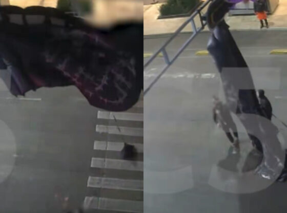 VIDEO ¬ Un paracaidista queda atorado en Balderas.