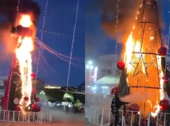 VIDEO ¬ Pobladores de Zitácuaro, Michoacán, queman árbol de Navidad