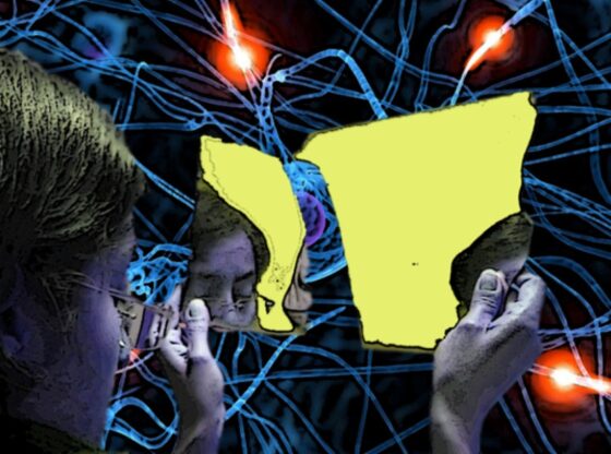 Los investigadores revelaron que la desigualdad, entre otros factores socioeconómicos, incide de manera importante en el aparecimiento de enfermedades mentales.